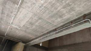 PHOTO-2023-09-04-15-53-24_3