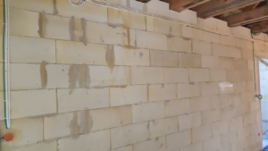 PHOTO-2023-09-04-15-53-25_3